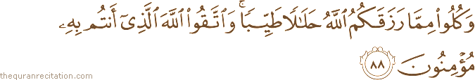 وَكُلُوا مِمَّا رَزَقَكُمُ اللَّهُ حَلَالًا طَيِّبًا ۚ وَاتَّقُوا اللَّهَ الَّذِي أَنْتُمْ بِهِ مُؤْمِنُونَ