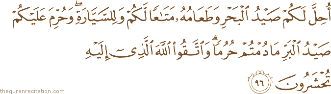 أُحِلَّ لَكُمْ صَيْدُ الْبَحْرِ وَطَعَامُهُ مَتَاعًا لَكُمْ وَلِلسَّيَّارَةِ ۖ وَحُرِّمَ عَلَيْكُمْ صَيْدُ الْبَرِّ مَا دُمْتُمْ حُرُمًا ۗ وَاتَّقُوا اللَّهَ الَّذِي إِلَيْهِ تُحْشَرُونَ