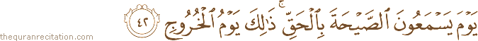 يَوْمَ يَسْمَعُونَ الصَّيْحَةَ بِالْحَقِّ ۚ ذَٰلِكَ يَوْمُ الْخُرُوجِ