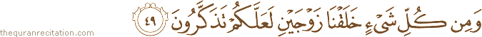 وَمِنْ كُلِّ شَيْءٍ خَلَقْنَا زَوْجَيْنِ لَعَلَّكُمْ تَذَكَّرُونَ