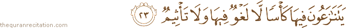 يَتَنَازَعُونَ فِيهَا كَأْسًا لَا لَغْوٌ فِيهَا وَلَا تَأْثِيمٌ