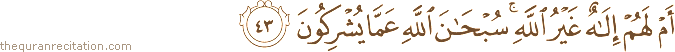 أَمْ لَهُمْ إِلَٰهٌ غَيْرُ اللَّهِ ۚ سُبْحَانَ اللَّهِ عَمَّا يُشْرِكُونَ