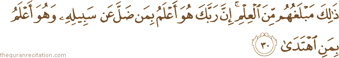 ذَٰلِكَ مَبْلَغُهُمْ مِنَ الْعِلْمِ ۚ إِنَّ رَبَّكَ هُوَ أَعْلَمُ بِمَنْ ضَلَّ عَنْ سَبِيلِهِ وَهُوَ أَعْلَمُ بِمَنِ اهْتَدَىٰ