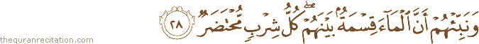 وَنَبِّئْهُمْ أَنَّ الْمَاءَ قِسْمَةٌ بَيْنَهُمْ ۖ كُلُّ شِرْبٍ مُحْتَضَرٌ