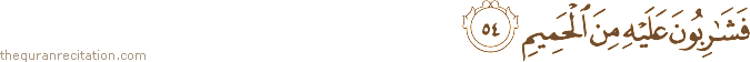 فَشَارِبُونَ عَلَيْهِ مِنَ الْحَمِيمِ