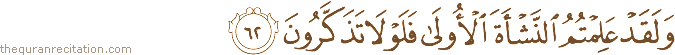 وَلَقَدْ عَلِمْتُمُ النَّشْأَةَ الْأُولَىٰ فَلَوْلَا تَذَكَّرُونَ