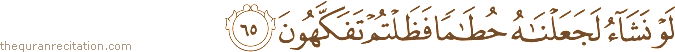 لَوْ نَشَاءُ لَجَعَلْنَاهُ حُطَامًا فَظَلْتُمْ تَفَكَّهُونَ
