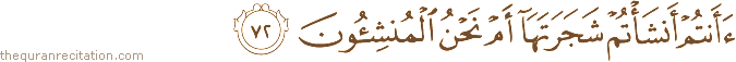 أَأَنْتُمْ أَنْشَأْتُمْ شَجَرَتَهَا أَمْ نَحْنُ الْمُنْشِئُونَ