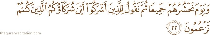 وَيَوْمَ نَحْشُرُهُمْ جَمِيعًا ثُمَّ نَقُولُ لِلَّذِينَ أَشْرَكُوا أَيْنَ شُرَكَاؤُكُمُ الَّذِينَ كُنْتُمْ تَزْعُمُونَ