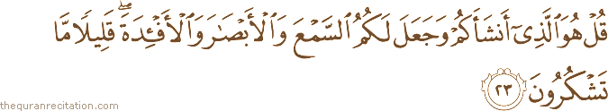 قُلْ هُوَ الَّذِي أَنْشَأَكُمْ وَجَعَلَ لَكُمُ السَّمْعَ وَالْأَبْصَارَ وَالْأَفْئِدَةَ ۖ قَلِيلًا مَا تَشْكُرُونَ