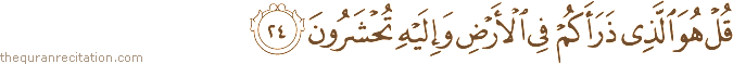 قُلْ هُوَ الَّذِي ذَرَأَكُمْ فِي الْأَرْضِ وَإِلَيْهِ تُحْشَرُونَ