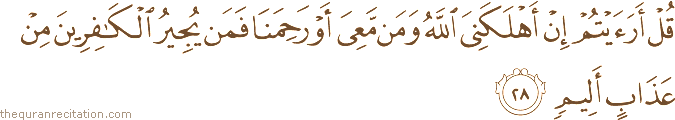 قُلْ أَرَأَيْتُمْ إِنْ أَهْلَكَنِيَ اللَّهُ وَمَنْ مَعِيَ أَوْ رَحِمَنَا فَمَنْ يُجِيرُ الْكَافِرِينَ مِنْ عَذَابٍ أَلِيمٍ