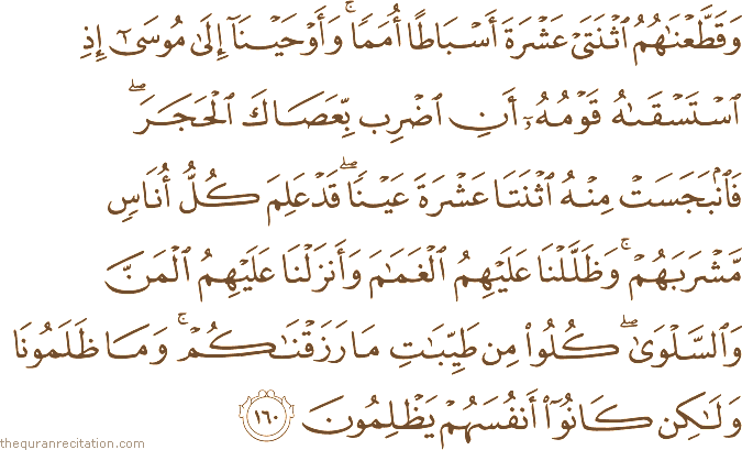وَقَطَّعْنَاهُمُ اثْنَتَيْ عَشْرَةَ أَسْبَاطًا أُمَمًا ۚ وَأَوْحَيْنَا إِلَىٰ مُوسَىٰ إِذِ اسْتَسْقَاهُ قَوْمُهُ أَنِ اضْرِبْ بِعَصَاكَ الْحَجَرَ ۖ فَانْبَجَسَتْ مِنْهُ اثْنَتَا عَشْرَةَ عَيْنًا ۖ قَدْ عَلِمَ كُلُّ أُنَاسٍ مَشْرَبَهُمْ ۚ وَظَلَّلْنَا عَلَيْهِمُ الْغَمَامَ وَأَنْزَلْنَا عَلَيْهِمُ الْمَنَّ وَالسَّلْوَىٰ ۖ كُلُوا مِنْ طَيِّبَاتِ مَا رَزَقْنَاكُمْ ۚ وَمَا ظَلَمُونَا وَلَٰكِنْ كَانُوا أَنْفُسَهُمْ يَظْلِمُونَ