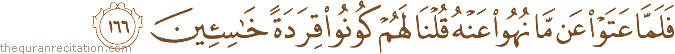 فَلَمَّا عَتَوْا عَنْ مَا نُهُوا عَنْهُ قُلْنَا لَهُمْ كُونُوا قِرَدَةً خَاسِئِينَ