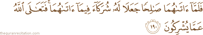 فَلَمَّا آتَاهُمَا صَالِحًا جَعَلَا لَهُ شُرَكَاءَ فِيمَا آتَاهُمَا ۚ فَتَعَالَى اللَّهُ عَمَّا يُشْرِكُونَ