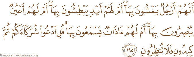 أَلَهُمْ أَرْجُلٌ يَمْشُونَ بِهَا ۖ أَمْ لَهُمْ أَيْدٍ يَبْطِشُونَ بِهَا ۖ أَمْ لَهُمْ أَعْيُنٌ يُبْصِرُونَ بِهَا ۖ أَمْ لَهُمْ آذَانٌ يَسْمَعُونَ بِهَا ۗ قُلِ ادْعُوا شُرَكَاءَكُمْ ثُمَّ كِيدُونِ فَلَا تُنْظِرُونِ