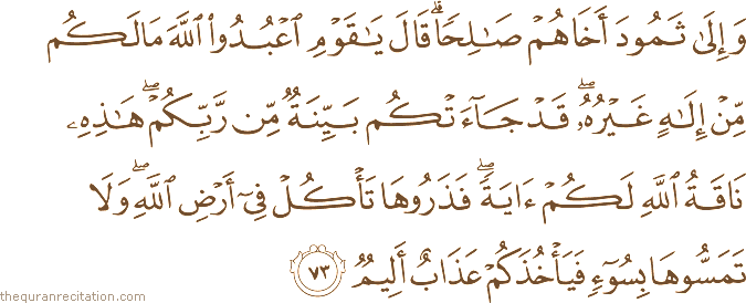وَإِلَىٰ ثَمُودَ أَخَاهُمْ صَالِحًا ۗ قَالَ يَا قَوْمِ اعْبُدُوا اللَّهَ مَا لَكُمْ مِنْ إِلَٰهٍ غَيْرُهُ ۖ قَدْ جَاءَتْكُمْ بَيِّنَةٌ مِنْ رَبِّكُمْ ۖ هَٰذِهِ نَاقَةُ اللَّهِ لَكُمْ آيَةً ۖ فَذَرُوهَا تَأْكُلْ فِي أَرْضِ اللَّهِ ۖ وَلَا تَمَسُّوهَا بِسُوءٍ فَيَأْخُذَكُمْ عَذَابٌ أَلِيمٌ