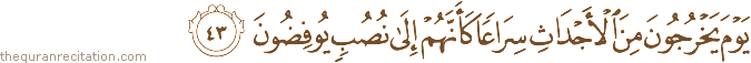 يَوْمَ يَخْرُجُونَ مِنَ الْأَجْدَاثِ سِرَاعًا كَأَنَّهُمْ إِلَىٰ نُصُبٍ يُوفِضُونَ