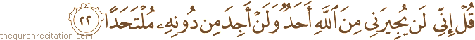 قُلْ إِنِّي لَنْ يُجِيرَنِي مِنَ اللَّهِ أَحَدٌ وَلَنْ أَجِدَ مِنْ دُونِهِ مُلْتَحَدًا