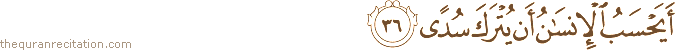 أَيَحْسَبُ الْإِنْسَانُ أَنْ يُتْرَكَ سُدًى