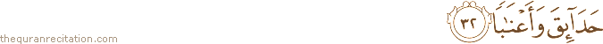 حَدَائِقَ وَأَعْنَابًا