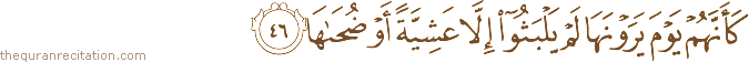 كَأَنَّهُمْ يَوْمَ يَرَوْنَهَا لَمْ يَلْبَثُوا إِلَّا عَشِيَّةً أَوْ ضُحَاهَا