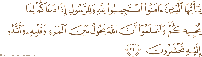 يَا أَيُّهَا الَّذِينَ آمَنُوا اسْتَجِيبُوا لِلَّهِ وَلِلرَّسُولِ إِذَا دَعَاكُمْ لِمَا يُحْيِيكُمْ ۖ وَاعْلَمُوا أَنَّ اللَّهَ يَحُولُ بَيْنَ الْمَرْءِ وَقَلْبِهِ وَأَنَّهُ إِلَيْهِ تُحْشَرُونَ