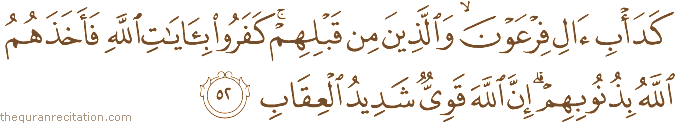 كَدَأْبِ آلِ فِرْعَوْنَ ۙ وَالَّذِينَ مِنْ قَبْلِهِمْ ۚ كَفَرُوا بِآيَاتِ اللَّهِ فَأَخَذَهُمُ اللَّهُ بِذُنُوبِهِمْ ۗ إِنَّ اللَّهَ قَوِيٌّ شَدِيدُ الْعِقَابِ
