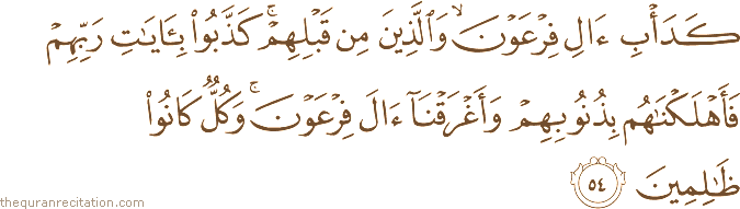 كَدَأْبِ آلِ فِرْعَوْنَ ۙ وَالَّذِينَ مِنْ قَبْلِهِمْ ۚ كَذَّبُوا بِآيَاتِ رَبِّهِمْ فَأَهْلَكْنَاهُمْ بِذُنُوبِهِمْ وَأَغْرَقْنَا آلَ فِرْعَوْنَ ۚ وَكُلٌّ كَانُوا ظَالِمِينَ