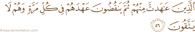 الَّذِينَ عَاهَدْتَ مِنْهُمْ ثُمَّ يَنْقُضُونَ عَهْدَهُمْ فِي كُلِّ مَرَّةٍ وَهُمْ لَا يَتَّقُونَ