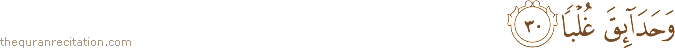 وَحَدَائِقَ غُلْبًا