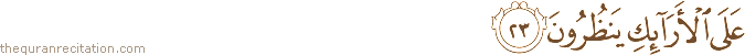 عَلَى الْأَرَائِكِ يَنْظُرُونَ