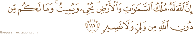 إِنَّ اللَّهَ لَهُ مُلْكُ السَّمَاوَاتِ وَالْأَرْضِ ۖ يُحْيِي وَيُمِيتُ ۚ وَمَا لَكُمْ مِنْ دُونِ اللَّهِ مِنْ وَلِيٍّ وَلَا نَصِيرٍ
